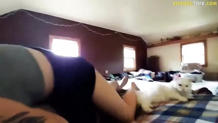 Petite big boob girlfriend getting pounded by boyfriend